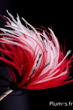 Plumet autruche avec anneau - ht 18 cm - noir-blanc-rouge